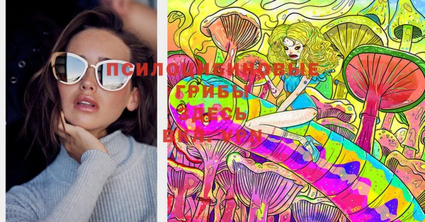 соль ск Бугульма
