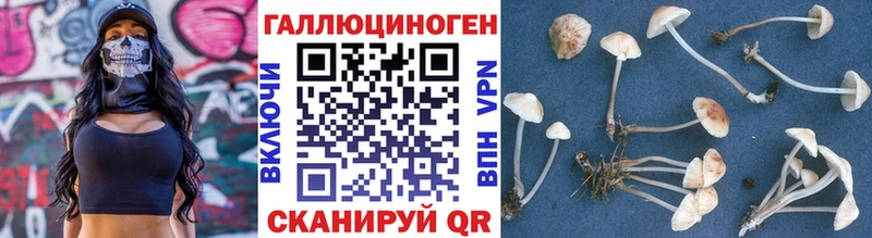 Псилоцибиновые грибы GOLDEN TEACHER  где купить наркоту  Циолковский 